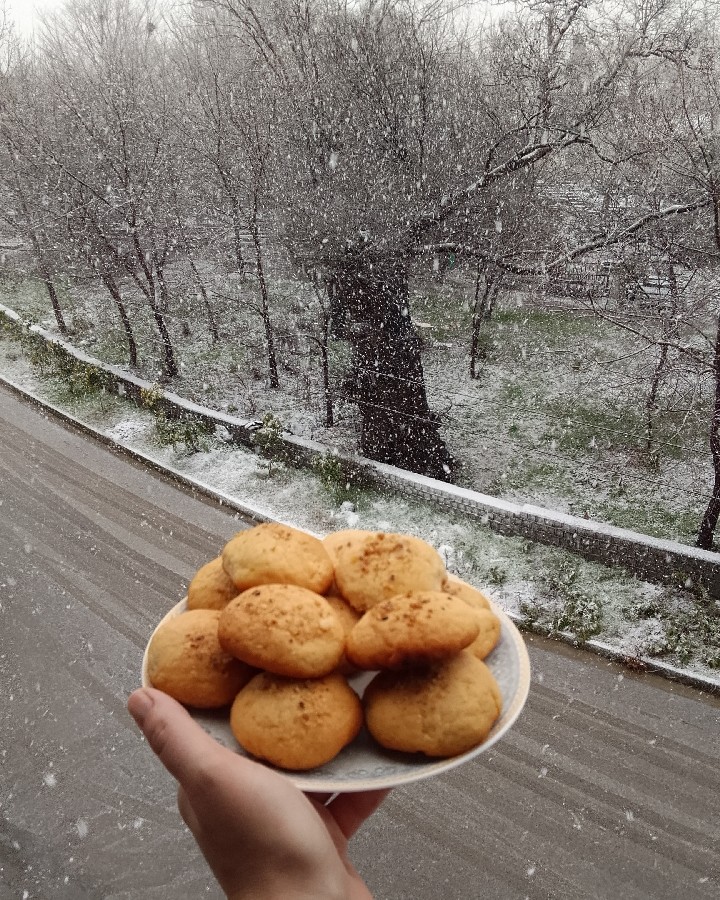 نون کوهی تنوری 