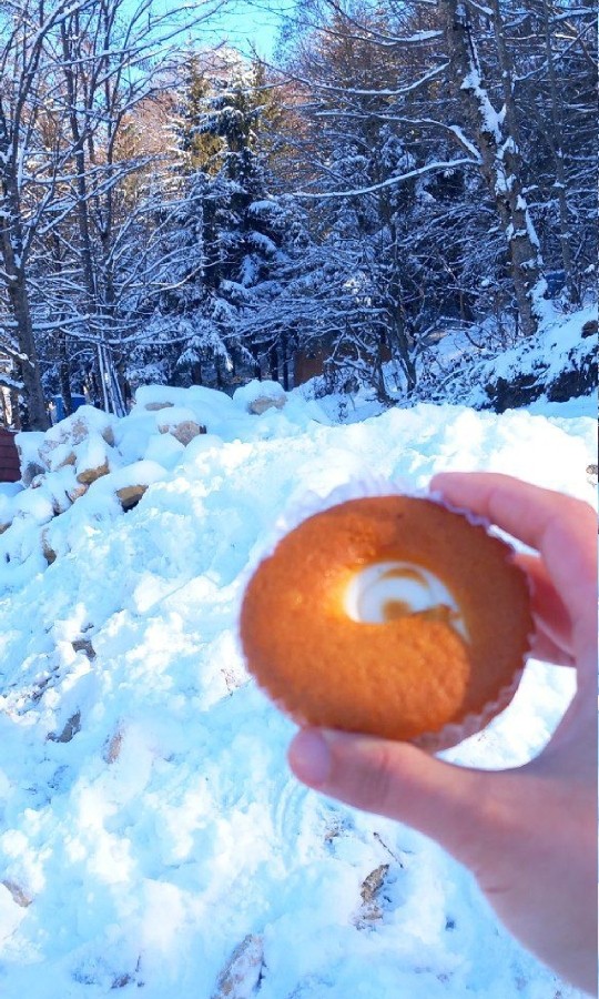 پای کرمدار  
ورق_زدنی 