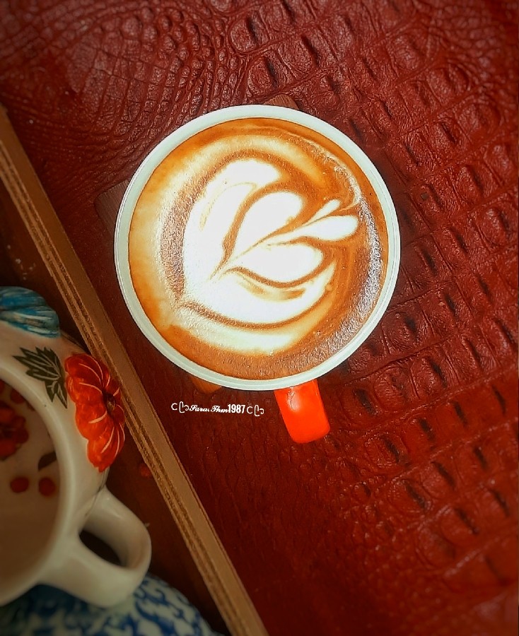 آنچه گذشت ...