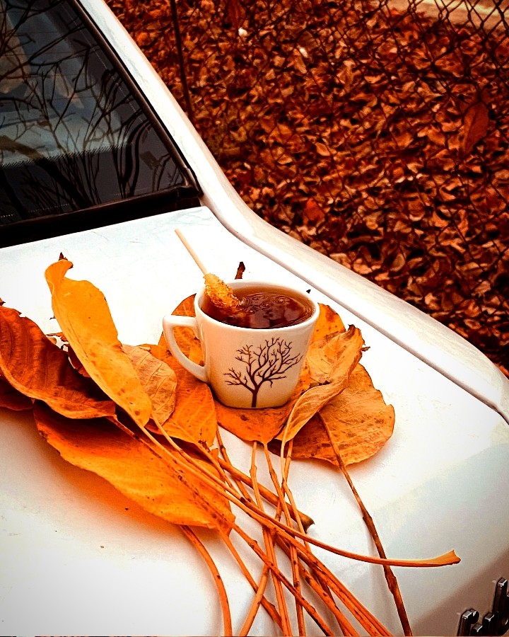 مرسی که لایک میکنی عزیزم♥️