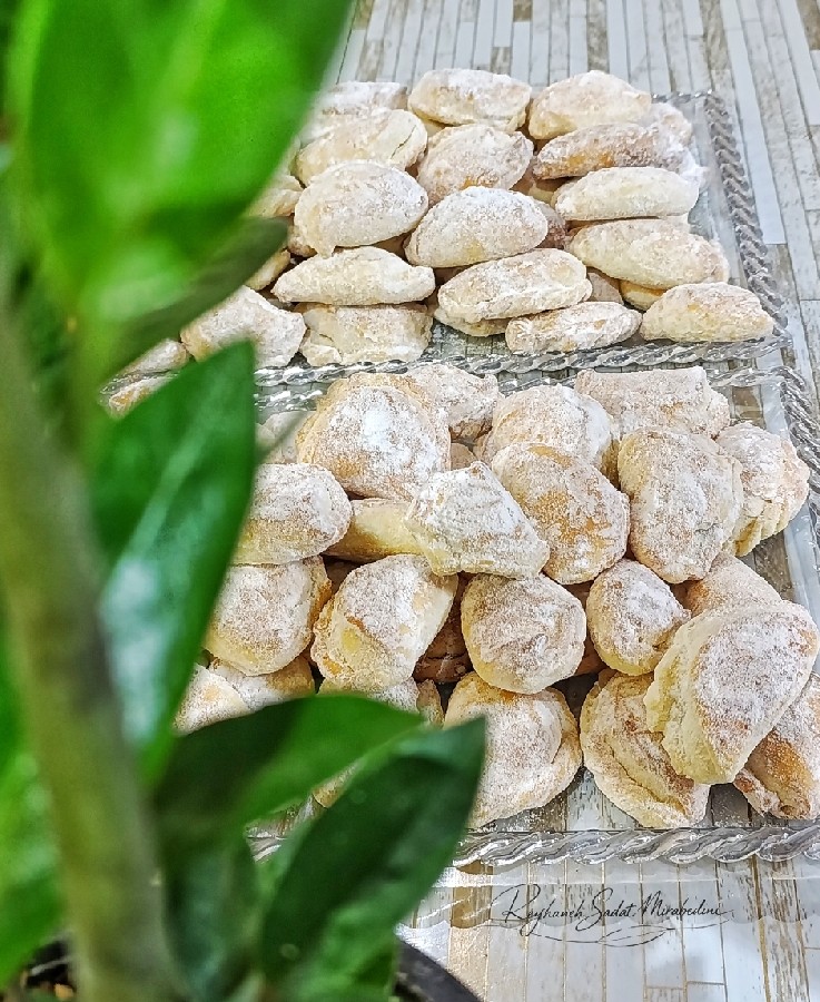 قطاب رژیمی?