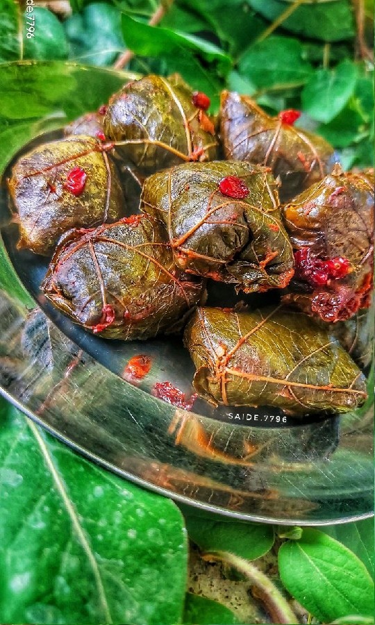 دلمه برگ مو