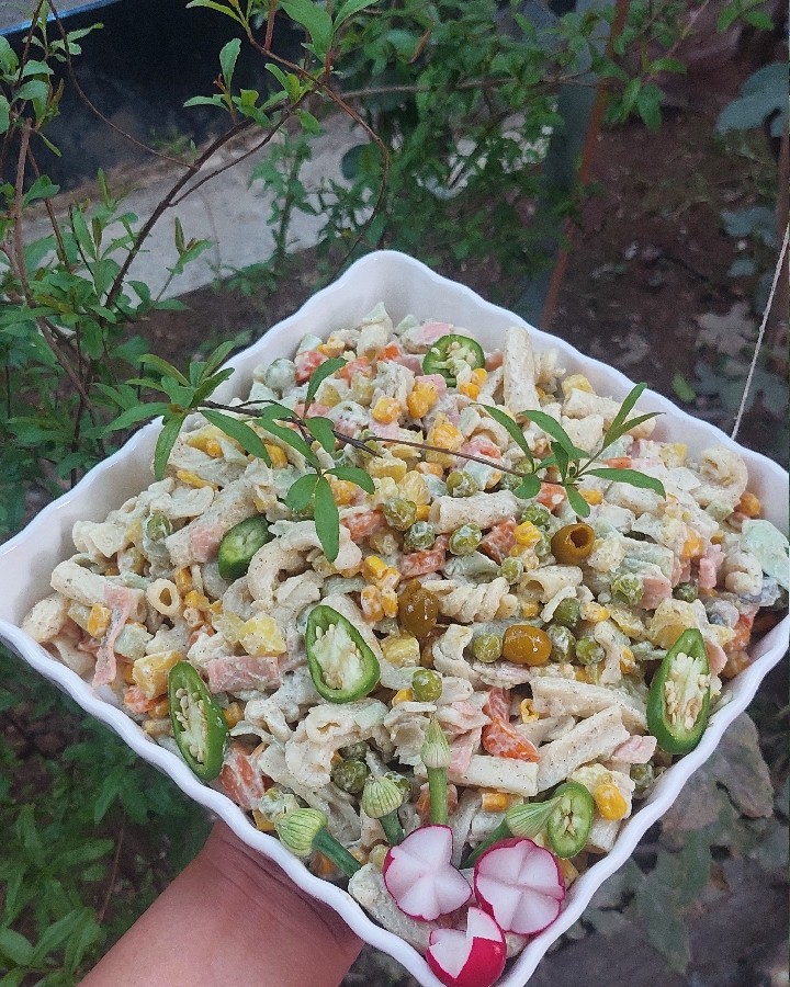 سالاد ماکرون