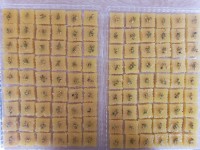 حلوای مقراضی