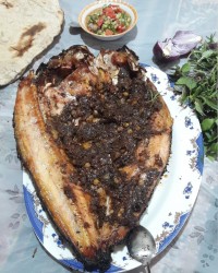 نهار روز جمعه کنار دوست بامرامم مامان مبین وماتیار