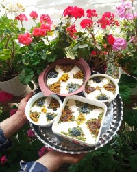 آش رشته جاتون سبز عزیزای دل