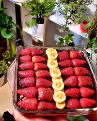 دسریخچالی باسس شکلات