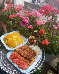 کباب کوبیده مرغ جاتون سبز