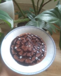 فرنی شکلاتی