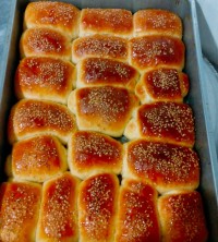 پویش امام علی (ع)