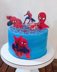 کیک تولدخواهرزاده جان