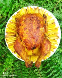 مرغ شکم پر بدون فر