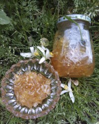 مربا بهار نارنج