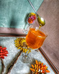 شربت بار تجربه اول