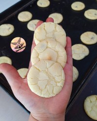 کشمشی فوق العاده عالی ونرم ورق بزنید خوشگلا