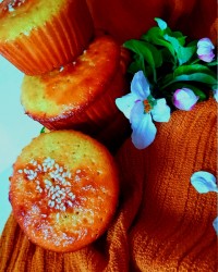 مافین وانیلی