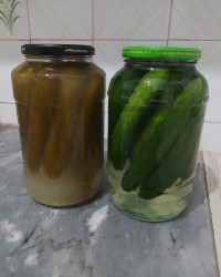 خیار شور