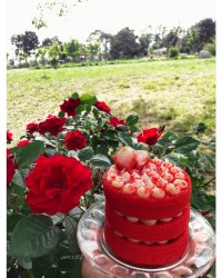 کیک ردولوت دورغین