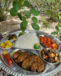 ماهی شیر سرخ شده و جوجه