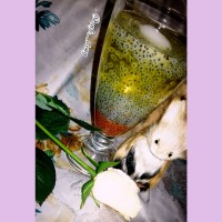 شربت خاکشیر و تخم شربتی