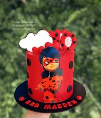 کیک دخترونه کیک کفشدوزکی