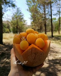 مهربان باش...