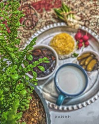 خورشت بادمجان با رب انار