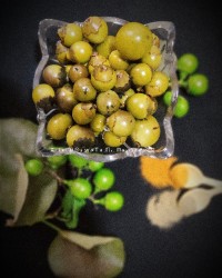 ترشی سپستان (انبو) کپشن??