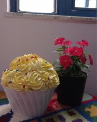 باگر کیک تولد