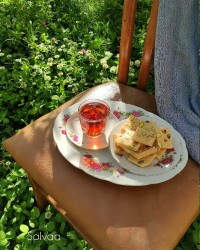 فاج پسته وکشمش