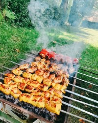 جوجه کباب مریم مامان