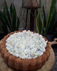 کیک بسبوسه با کرم پنیری