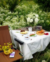 یه بغل بهار،،،