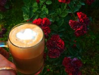 قهوه لاته SAHEL