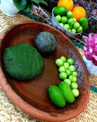 نمک سبز یادلار (درار)