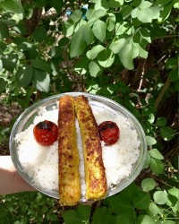 کباب کوبیده مرغ در طبیعت