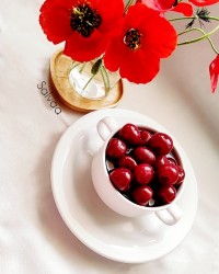 از جامانده های کمپوتهای گیلاس..