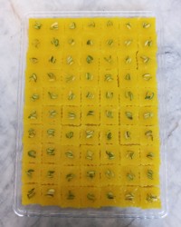 حلوای مقراضی