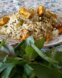 شوید نخود پلو