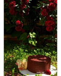 کیک اسفنجی روز دختر مبارک