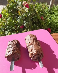 بیسکو بستنی