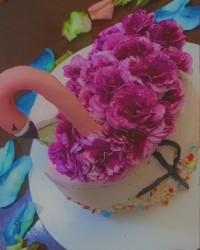 کیک فلامینگو♥️