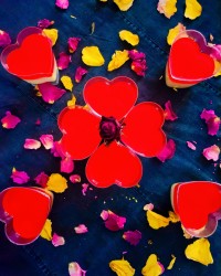 ژله و پودینگ