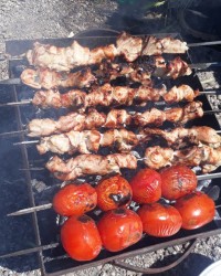 دور همی خونه ییلاقی