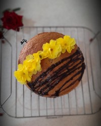 کیک چای و دارچین،بانوپز