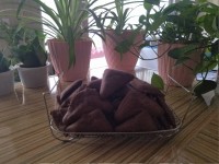 کیک اسنکی باطعم کاکایو ونسکافه