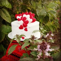 مینی کیک خوشگلمون