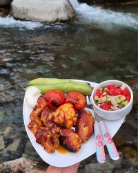 جوجه کباب