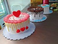 کیکای یخچالی