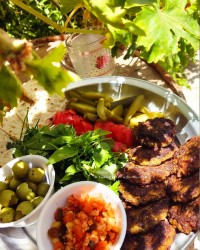 شامی بادمجان